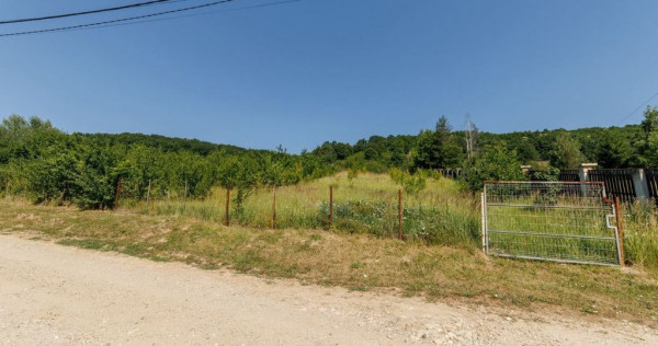 Teren intravilan Ștefănești Valea Mare Podgoria