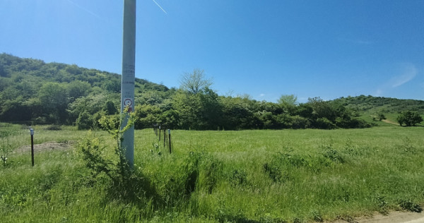 Teren intravilan, 407 mp, Podari
