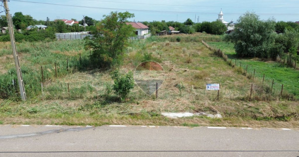 Teren intravilan Calienii Noi