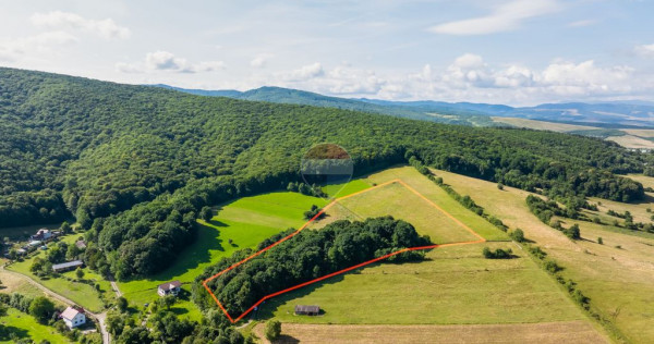Comision 0| Proprietate cu 7 construcții intabulate și ...