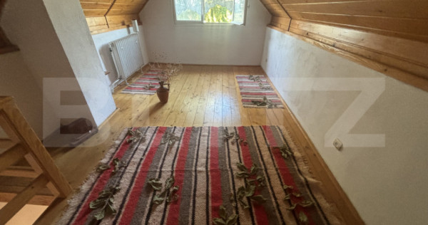 Casă de v&acirc;nzare, 77 mp, teren 10 ari, zona Viile Satu Mare