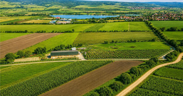 FILM! 18.000 mp, extravilan, agricol constructii:ferma,inve