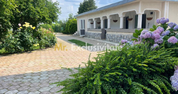 Casa visurilor cu 4000 mp livada roditoare si gradina Dar...