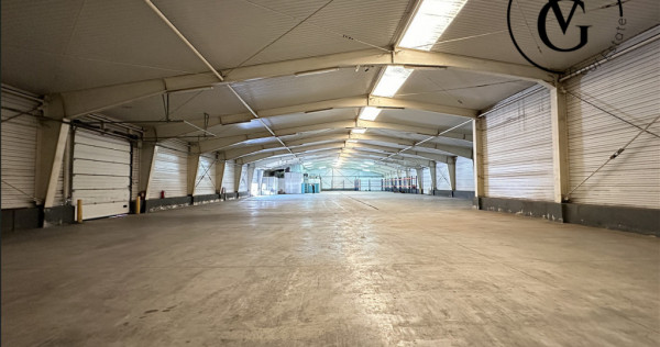 Spatiu industrial | Hala + birouri | 4.871 mp teren | Tulcea
