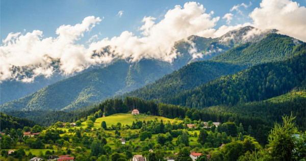 Pensiune cu personalitate,Bran,10 unitati, 24 locuri,1.400 m