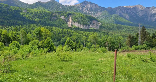 Teren intravilan, 1.724 mp, zona Sinaia