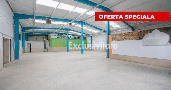 HALA INDUSTRIALA 595 MP | DN 65B &ndash; BRADU | CURTE 1.466 ...