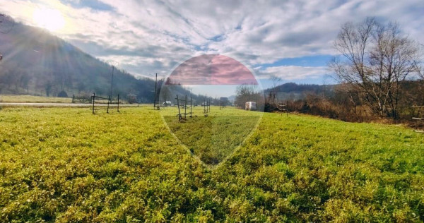 Teren intravilan-2.600 mp &icirc;n B&acirc;rsana | 100 ml deschider...