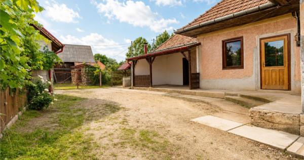 Ansamblu: Casa atelier sura 1.123mp teren, Sat Lunga,