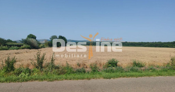 Teren extravilan Balteni, Vaslui, la limita intravilanului