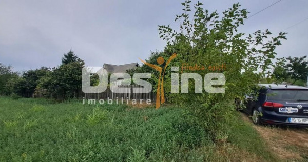 Casa + teren de 1715 mp Cornesti