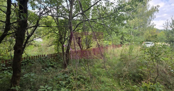 Teren de vanzare 1500 mp in Telega