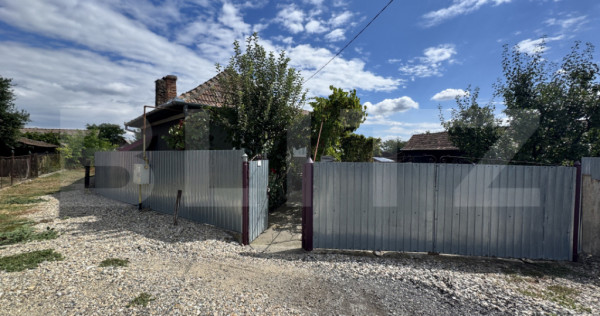 Casa mare, cu gospodarie deosebita in Chetani! 34 Ari Teren!