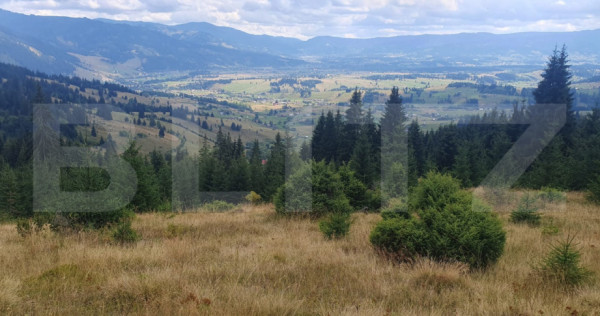 Teren extravilan de vanazre, 42.152 mp, zona Saru Dornei