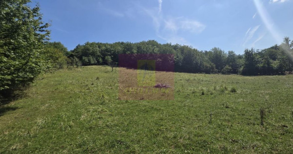 Teren intravilan de vanzare 2500 mp in Banesti