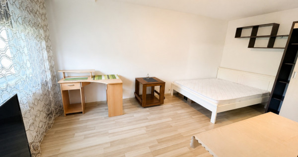 Apartament cu o cameră Bucovina