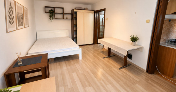Apartament cu o cameră Bucovina