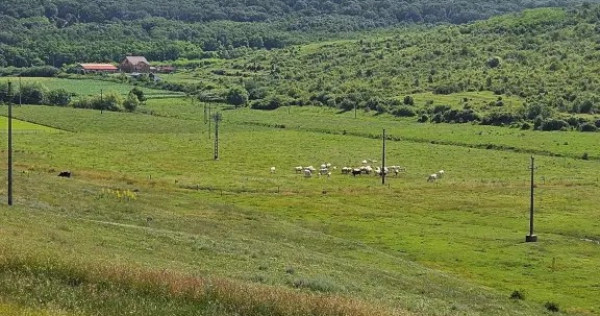 Vand Teren 7200mp si Teren 2000mp,Cretestii de sus, Husi, jud Vaslui
