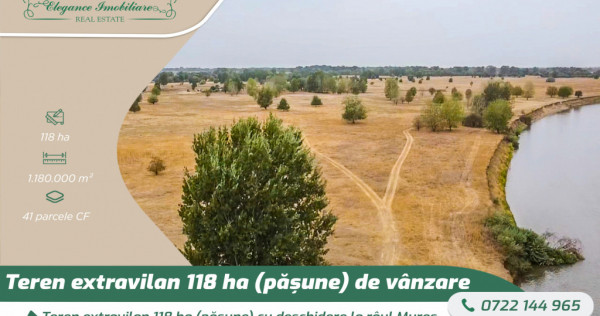 Teren extravilan 118 ha(pășune) cu deschidere la r&acirc;ul Mur