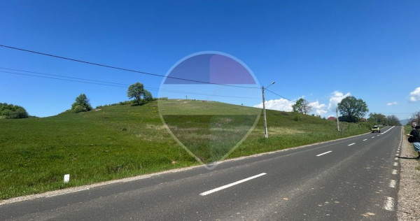 Teren intravilan 7430mp | Berinta, MM | Oportunitate de Investiție
