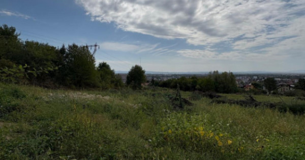 Teren intravilan, 1000 ari, Str. Miron Costin