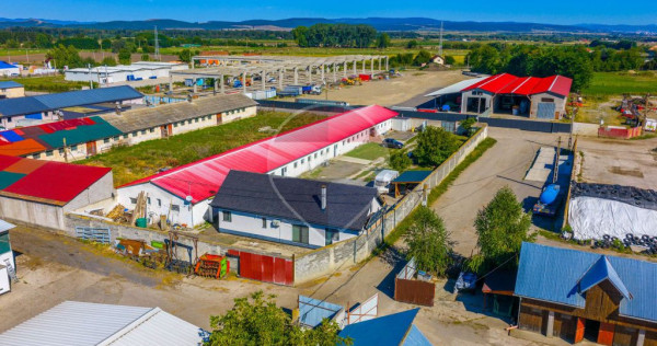 Hala de vanzare si casa pe acelasi teren- Comision 0%- Pr...