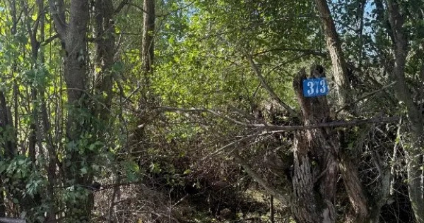 V&acirc;nd teren intravilan 300mp com. Iepuresti, jud. Giurgiu
