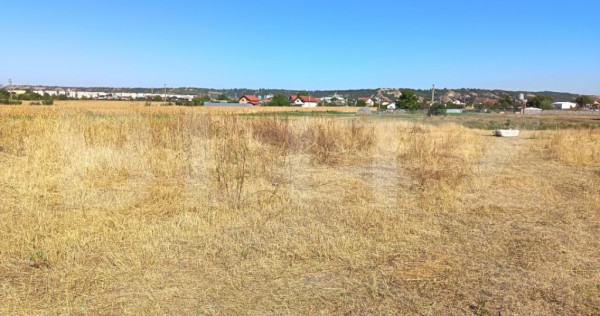 Teren extravilan, 2.300 mp, zona Turda