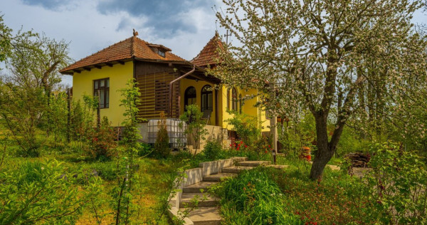 Provita de Sus, Prahova, Casa renovata, Comision 0 %