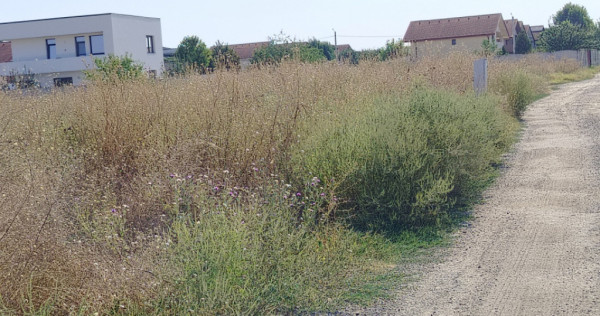 Teren intravilan, 500 mp, zona Selgros