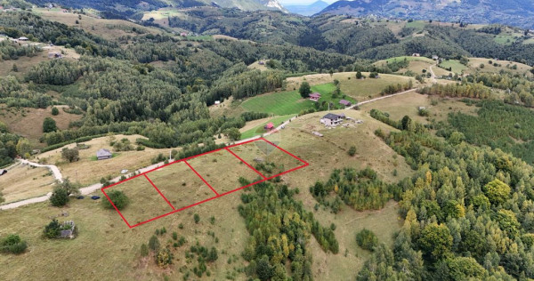 Comision 0%| Loturi intravilan Șirnea &ndash;Fundata | PUZ |Priveliște 360&deg;