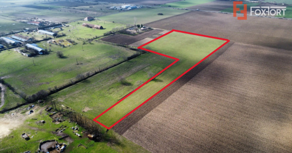 Teren intravilan 2 hectare in Padureni &ndash; oportunitate inve