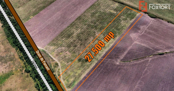 Teren extravilan 27.500 mp de vanzare in Timisoara-Zona Exte