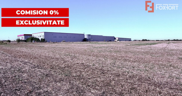COMISION 0% Teren extravilan 40.000 mp - zona Sanandrei