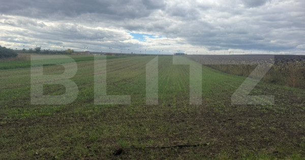 Teren intravilan, 5200mp, 19m deschidere, Scheia