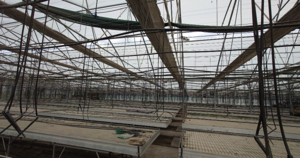 Oportunitate Sera PROFESIONALA EUROPROGRESS 2200 mp (SH)