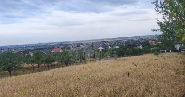 TEREN PAULESTI//10.000 MP