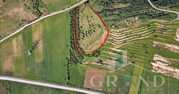 Teren cu suprafata 9100mp, zona Sub Coastă, Cluj-Napoca