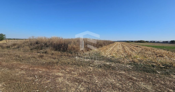 Copăceni - Ilfov - Teren intravilan arabil de v&acirc;nzare - 1.148 mp
