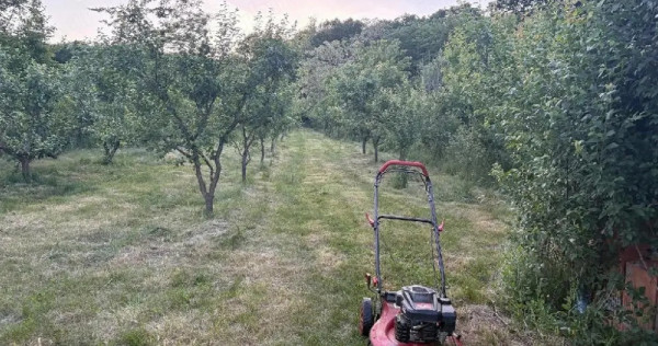 Vand teren extravilan in comuna Plopu