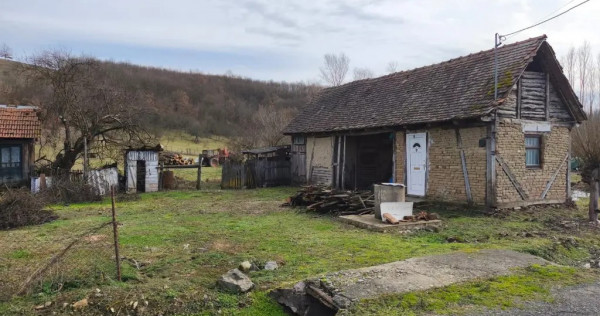 Teren &icirc;n Julița, zonă centrală, 6000mp