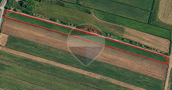 Teren 14.000 Strada Campurilor