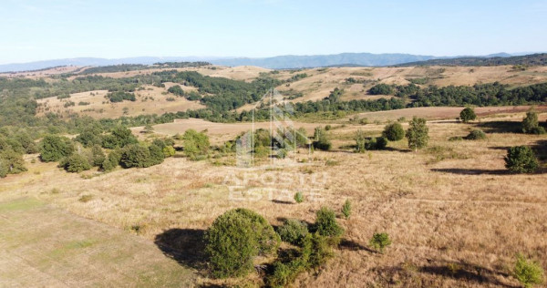 Teren de 50.000mp, priveliste panoramica spre munte si lac, Hunedoara