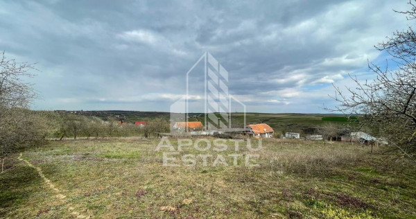 Teren intravilan pentru investitie, 2896 mp, Herneacova Timis