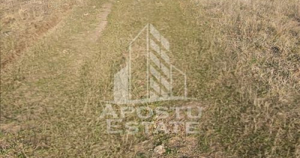 TEREN AGRICOL 1,524 HA, LA DOAR 10.000&euro; Comision Zero %