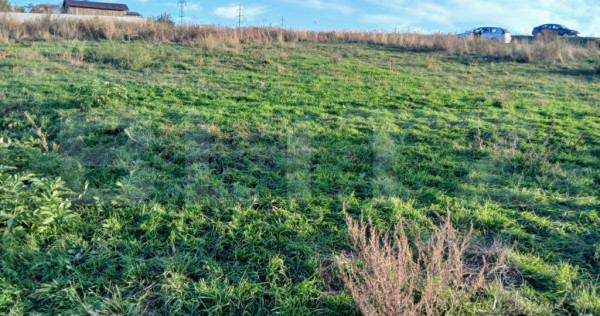 Teren intravilan, 500 mp, zona Tătărași