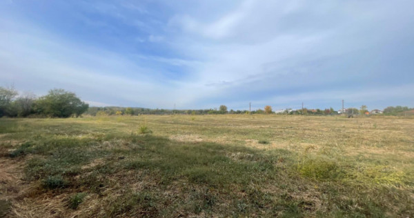 Teren intravilan, 6900 mp, zona Exterior Sud