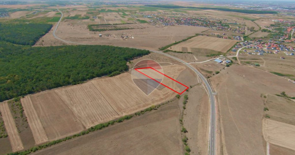 De v&acirc;nzare teren intravilan, 4.130 mp &icirc;n Cihei &ndash; S&acirc;nmartin