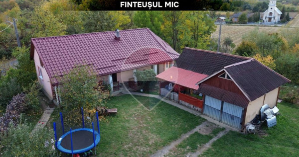 GOSPODARIE de vanzare- Finteusul Mic