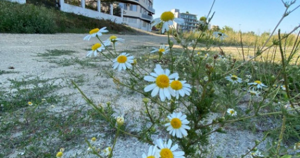 Apartament 2 camere decomandate Mamaia Sat vedere superba la mare